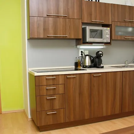 Ramzova B Appartement Ostružná